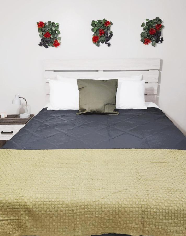 Adorable Mini Suite In Tampa Exteriér fotografie