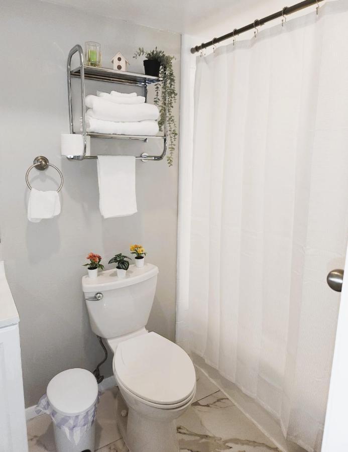 Adorable Mini Suite In Tampa Exteriér fotografie