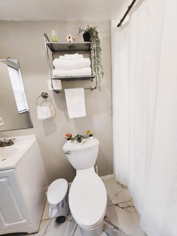 Adorable Mini Suite In Tampa Exteriér fotografie