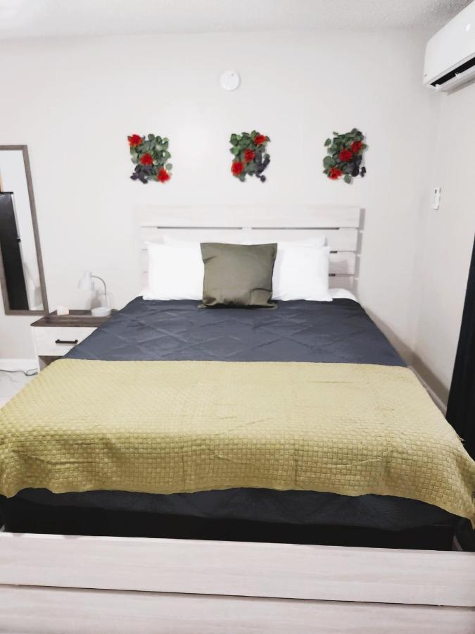 Adorable Mini Suite In Tampa Exteriér fotografie