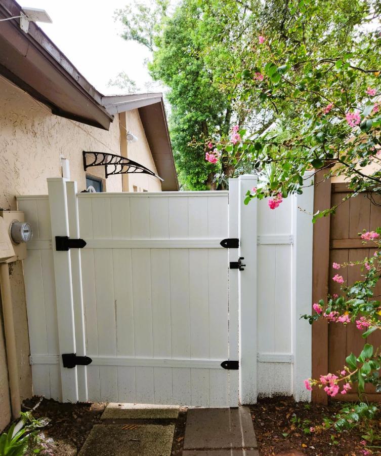 Adorable Mini Suite In Tampa Exteriér fotografie
