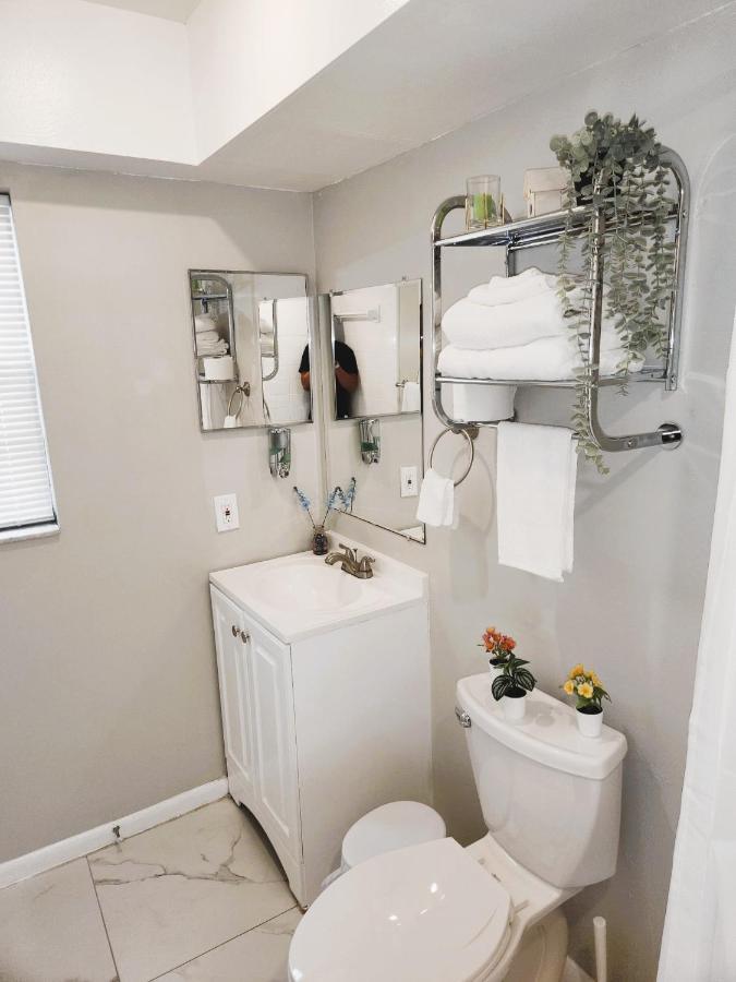 Adorable Mini Suite In Tampa Exteriér fotografie